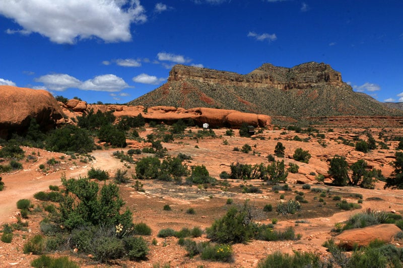 Road Into The Tuweep Campground