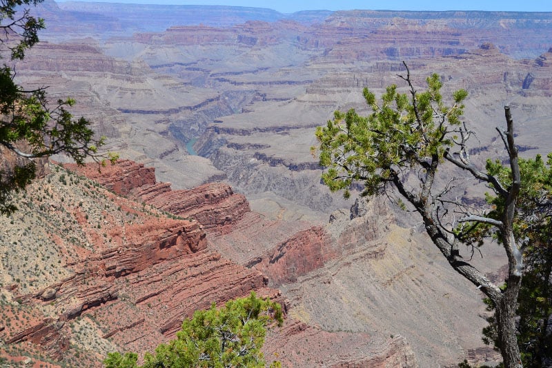 South Rim Grand Canyon View Point