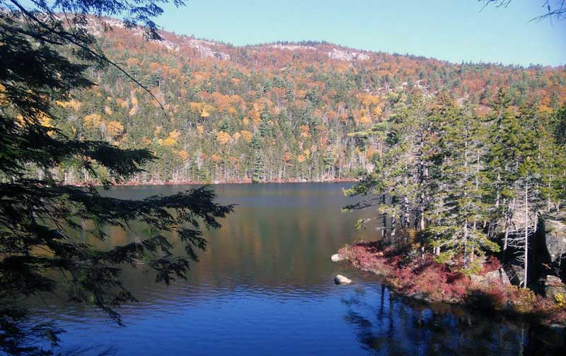 Hidden Ponds Trail