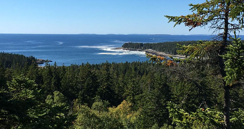 Peak Of Schoodic Head Trail Hike