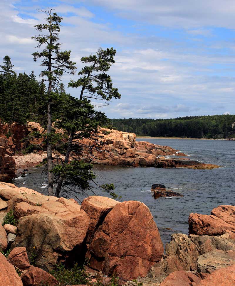 Schoodic Coastline