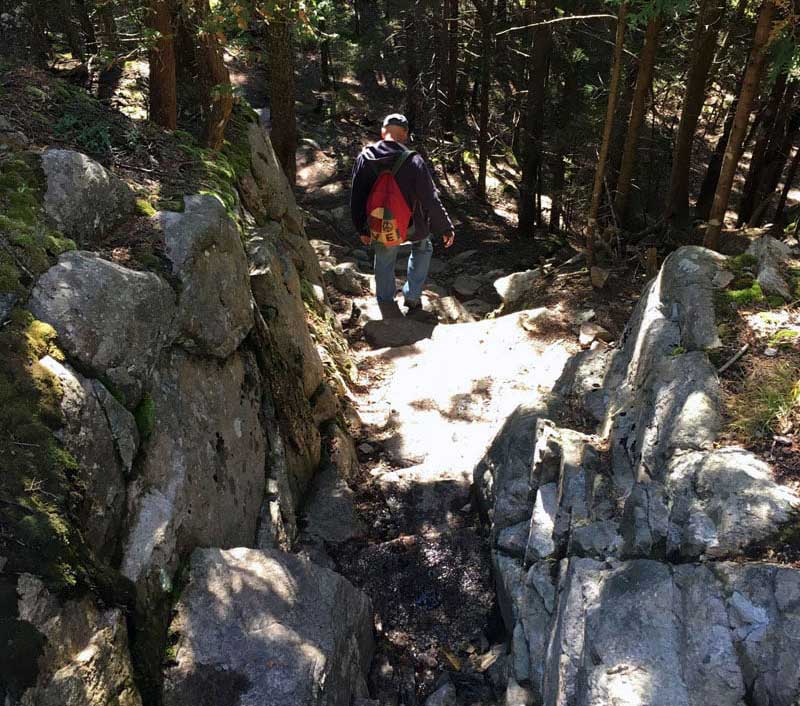 Schoodic Head Trail Hike