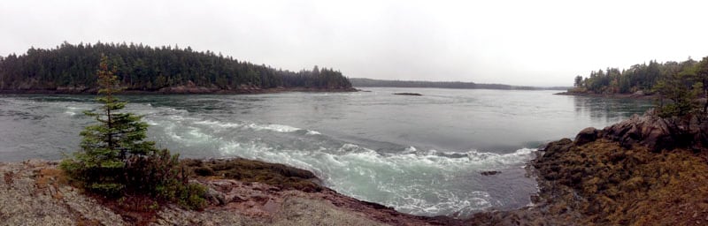 Reversing Falls Pembroke