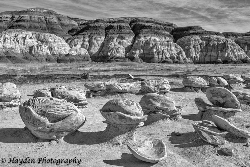 Bisti Egg Garden Or Alien Eggs