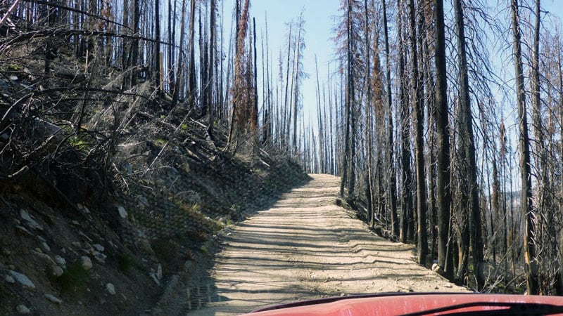 Magruder Corridor Narrow Road With Trees And Rocks