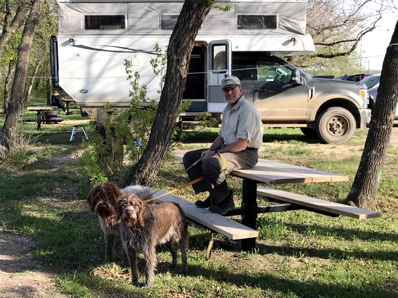 Dogs Go Camping Phoenix Camper