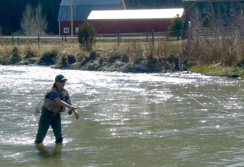Fly Fishing On Streams In The Rocky Mountains