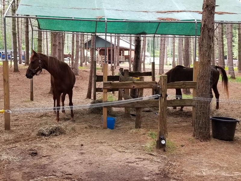 Horse Camping