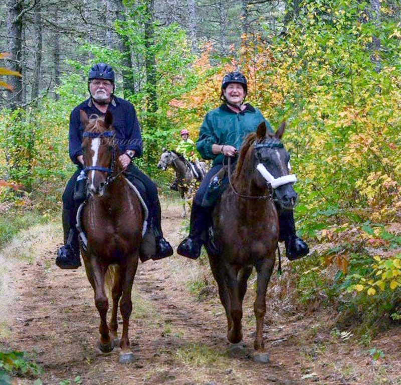 Horse Trail Riding