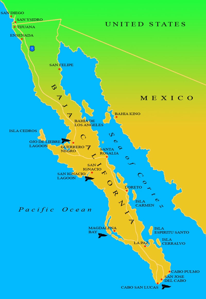 Baja Map From BajaEcotours