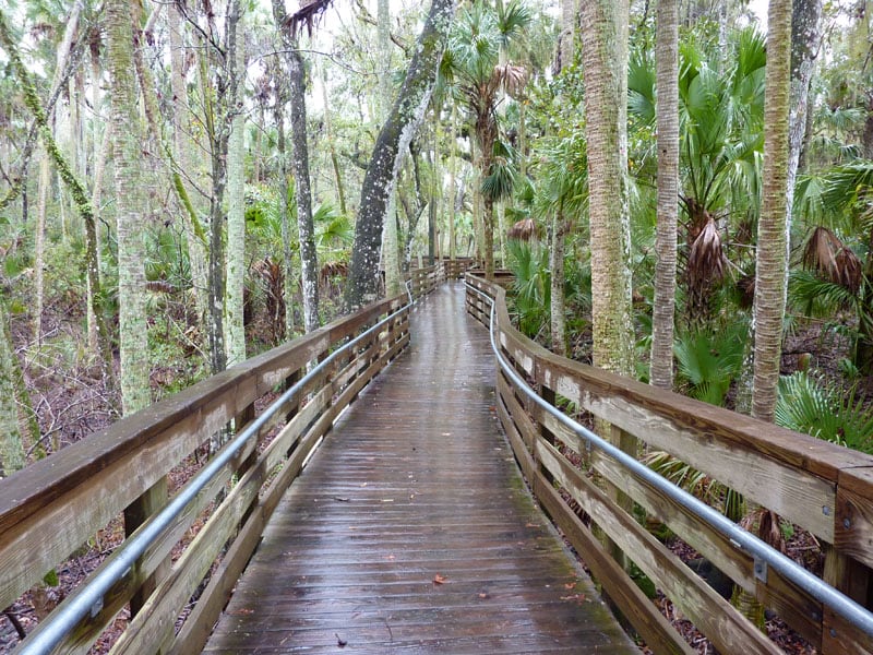 Blue Spring Boardwalk Path