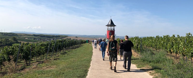 Hiking In The German Vinyards