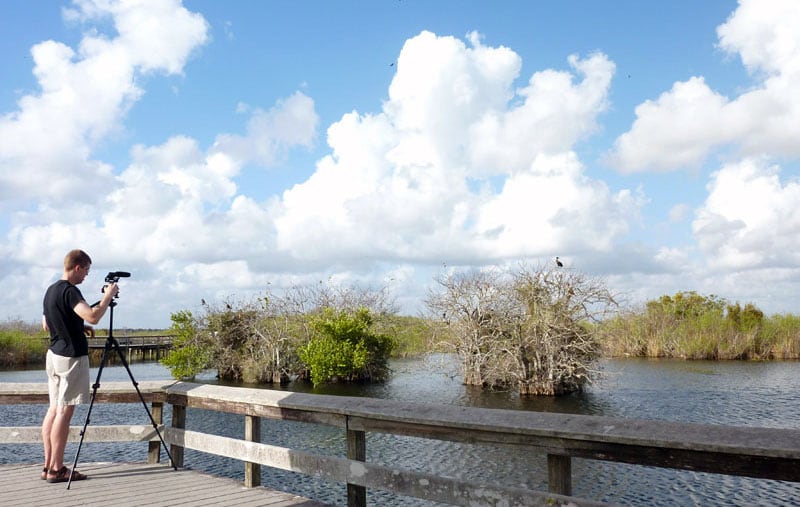 Photos On The Anhinga Trail Everglades