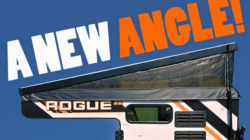 Palomino Rogue New Angle