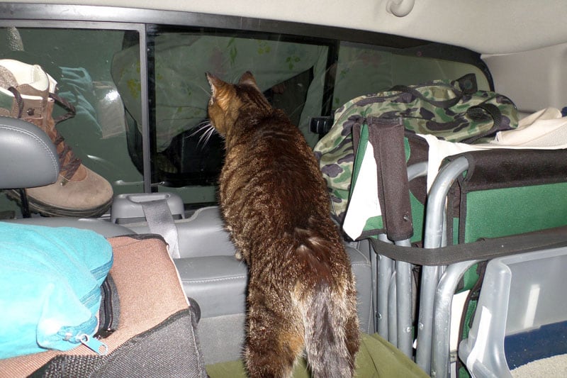 Pippi Shortstocking At Camper Window