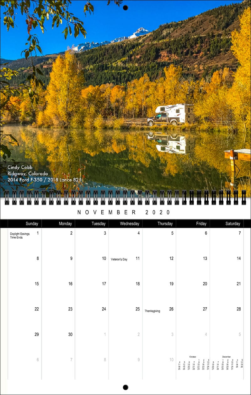 2020 TCM Calendar November