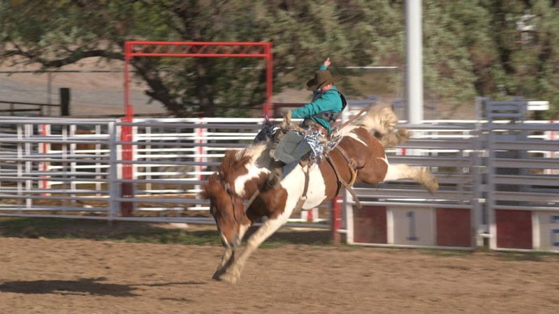 Capri Rodeo Wrights on 60 Minutes