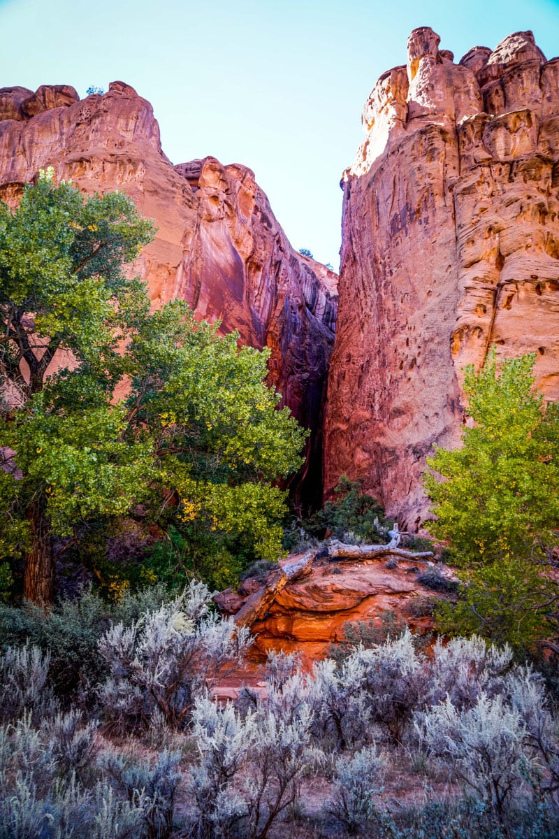 Boulder UT Burr Trail Canyon Slot