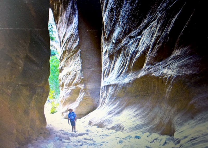 Ordeville Gulch In Zion Walk