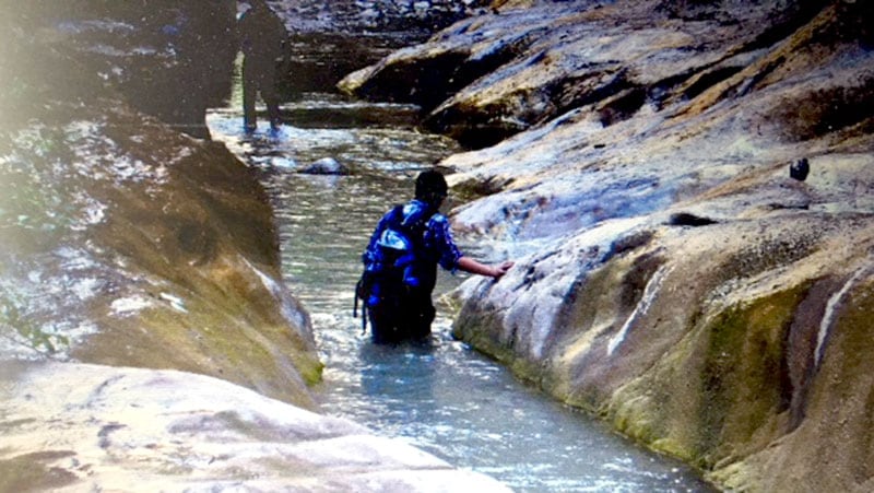 Ordeville Gulch In Zion Water Wade Through