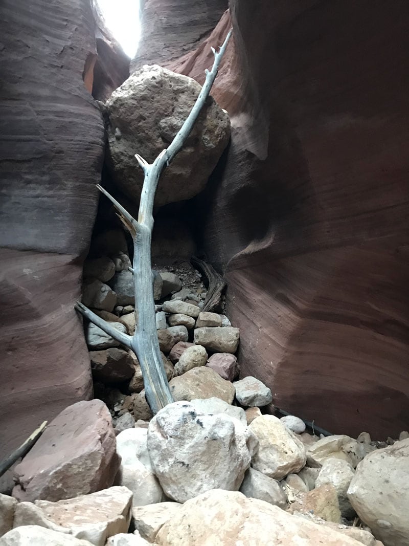 Stick Needed To Get Through Slot Canyon