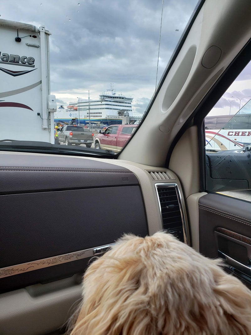 Ferry To Newfoundland From North Sydney NS