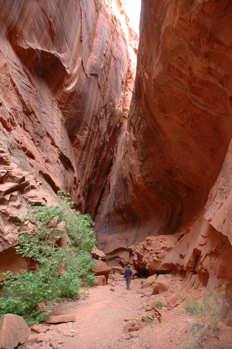 Slot Canyon Off Burr Trail