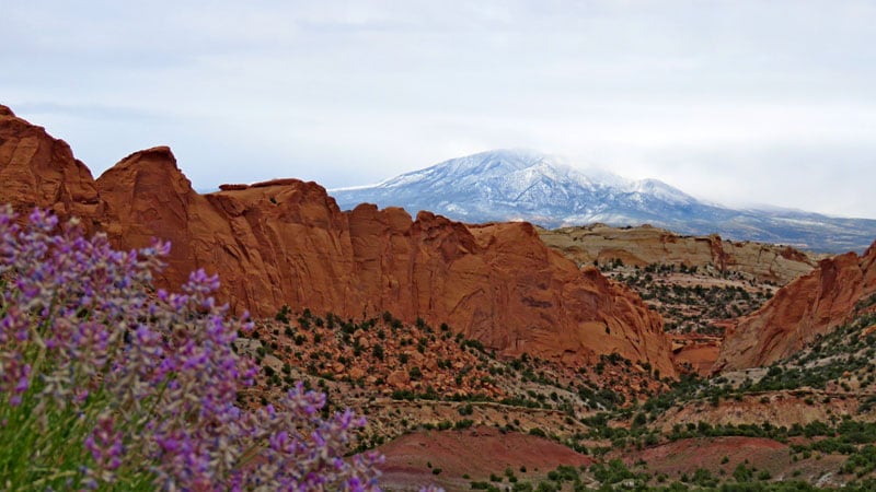 Beautiful Circle Cliffs Capitol Reef