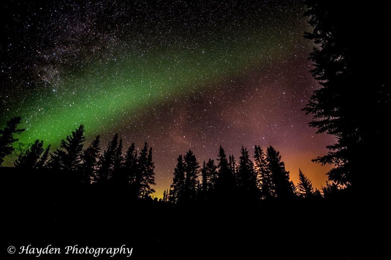 William A Switzer Provincial Park At Jarvis Lake Campground Aurora