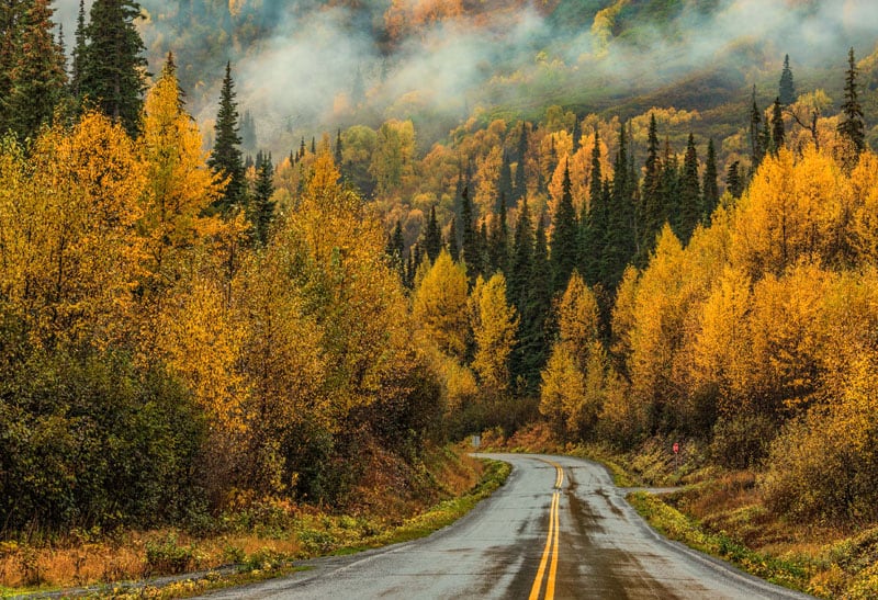 Yukon Road In The Fall