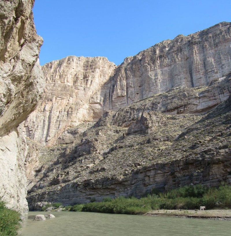 Big Bend NP Boquillas Canyon And The Wild Burros