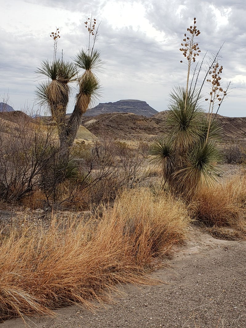 Chimneys Trail West End Big Bend