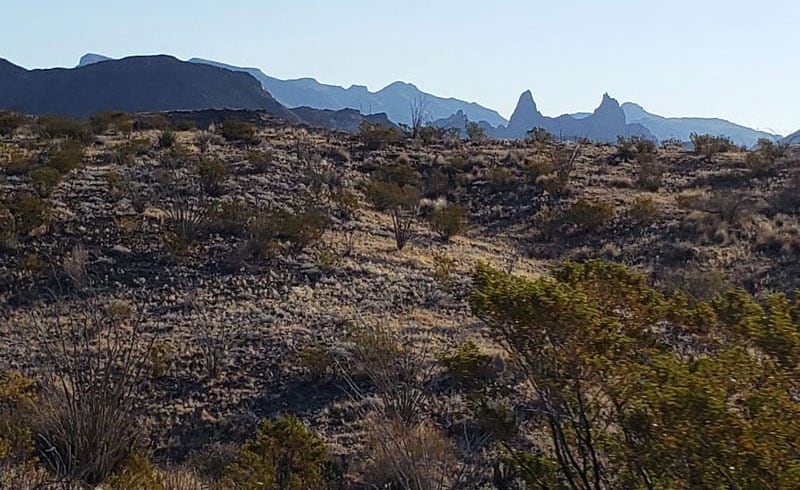 Mule Ears In The Morning