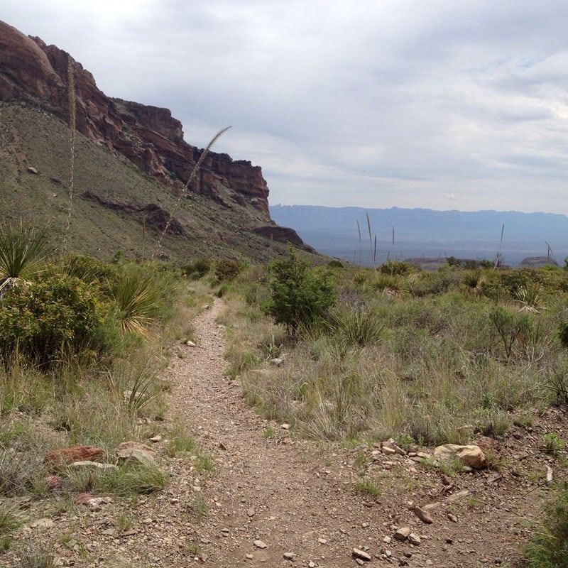 Pine Canyon Trail Looking Back Down The Trail