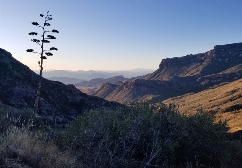 Sunrise Lost Mine Trail