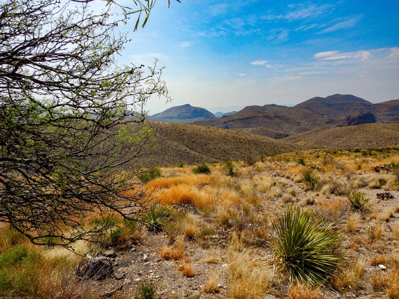 Vista Near Maverick Junction