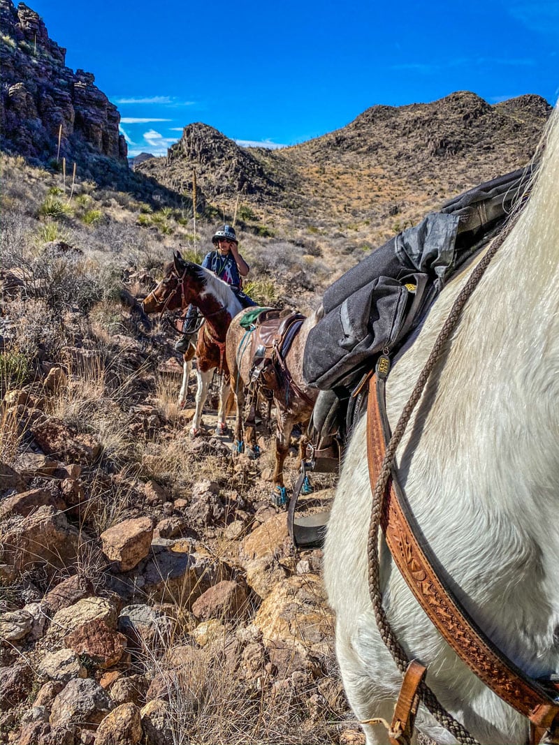 Rugged Landscape At Big Bend Ranch State Park