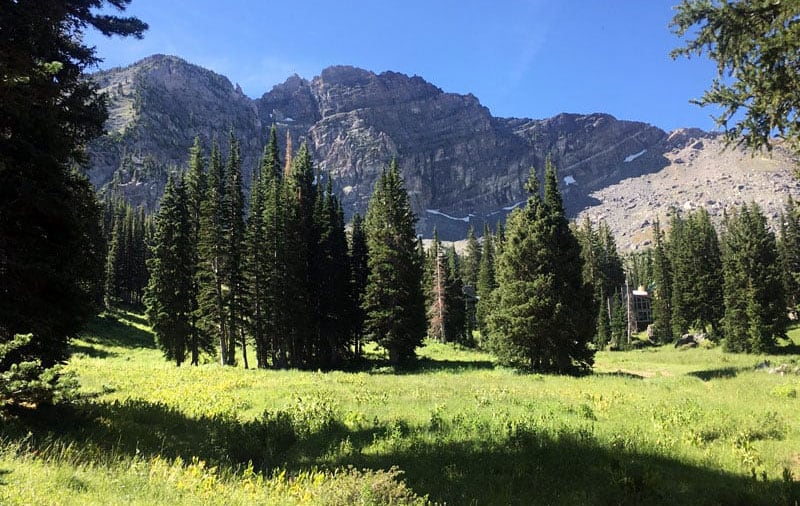 Annual National Forest trip to Albion Basin in Utah