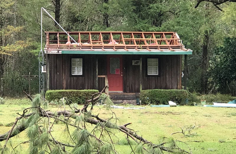 Hurricane Laura Big Tree Fell Over