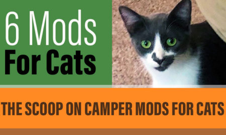 Camper Mods for Cats