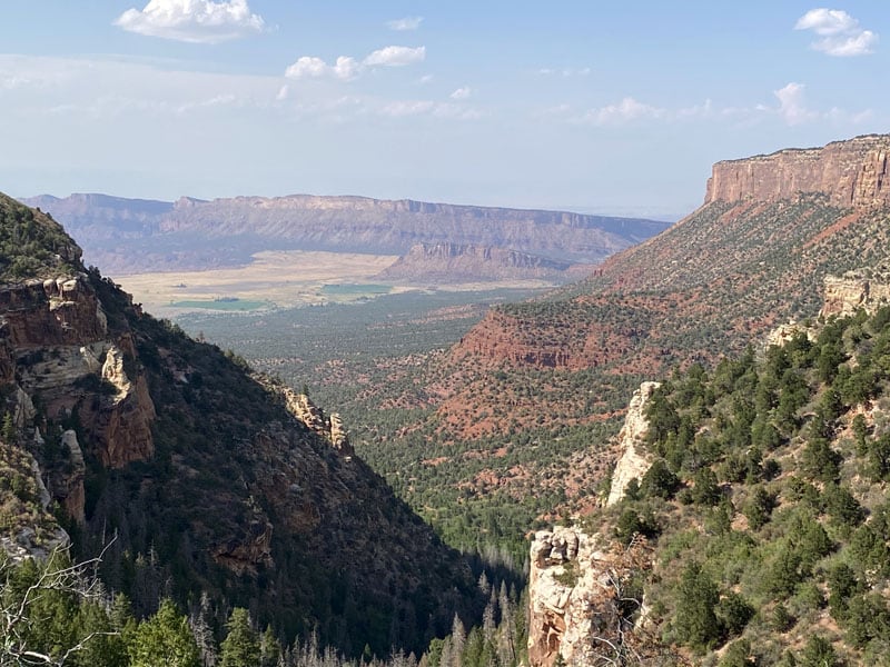 Onion Creek Beaver Mesa