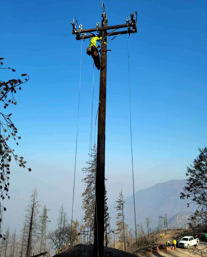 Creek Fire Restoration Shaver Lake CA