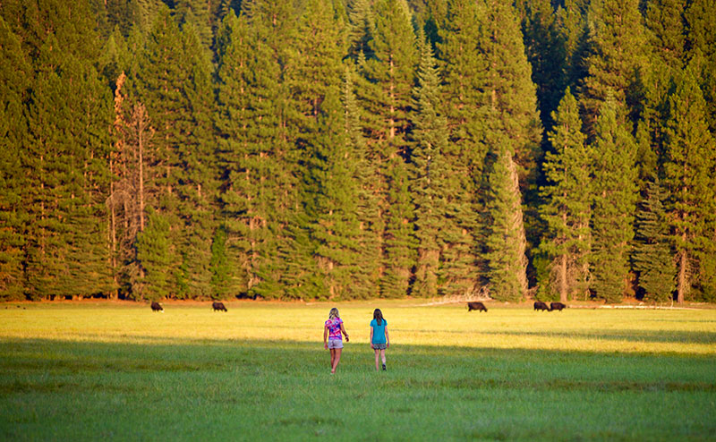 Walking Into Grass Lake