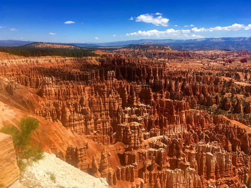 Amphitheater At Bryce Canyon National Park