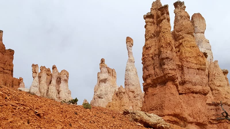 Big Toe In Bryce National Park