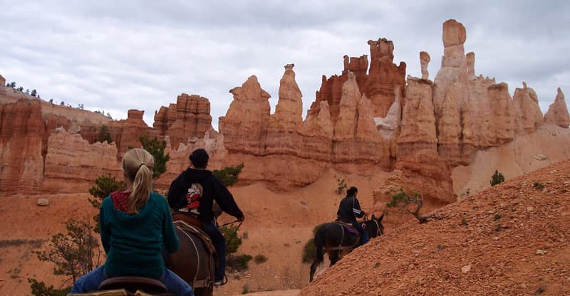 Mule Ride Through Bryce Canyon National Park