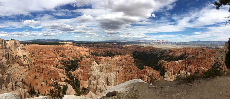 Rim Trail In Bryce Canyon National Park