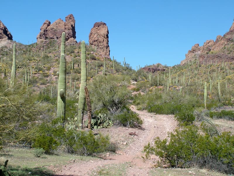 Trail Through The Pass Bender Springs Ride