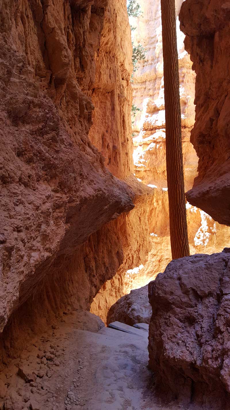 Wall Street Canyon near Bryce National Park