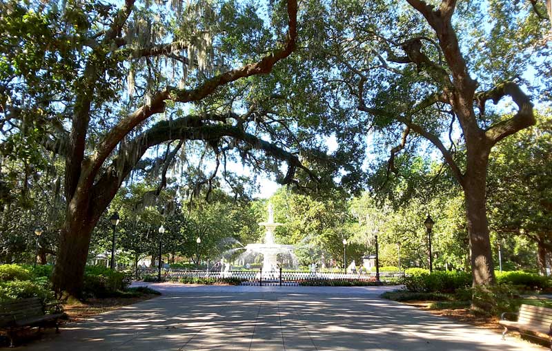 Savannah Georgia Gardens